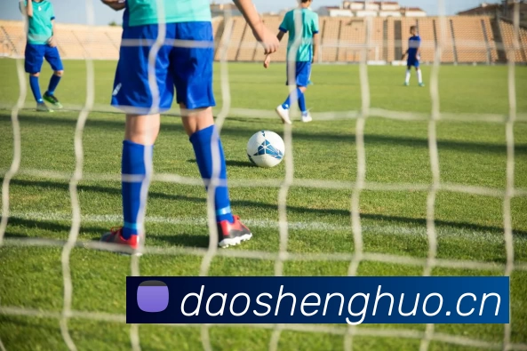 博亚体育app官方入口APP 封面图